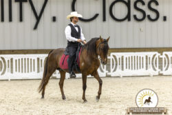 SAINT HORSE MARCHADORES